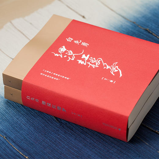 《白先勇细说红楼梦》| 让你读懂中国伟大小说 商品图2