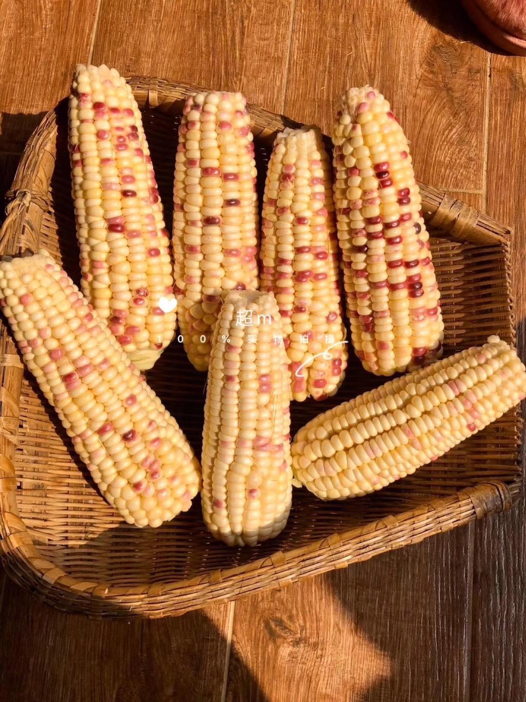 80元抢德乐圆老关东有机花糯玉米7斤箱非转基因玉米