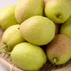 【果】新疆库尔勒香梨4个  约620g 商品缩略图2