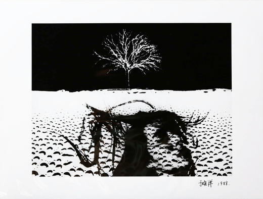 于晓洋丨于晓洋现代艺术摄影No.3 商品图0