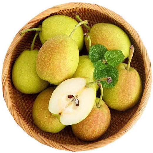 【果】新疆库尔勒香梨4个  约620g 商品图0