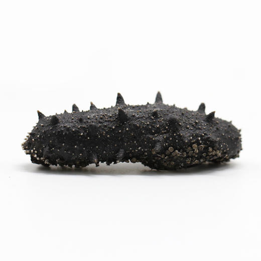 上药神象辽宁大连干海参刺参60头150克礼盒料理食用煲汤泡发 商品图2