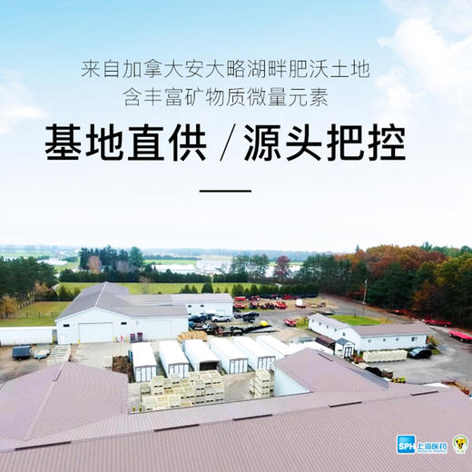 神象牌袋装西洋参参段正宗进口加拿大西洋参50克袋装富含人参皂甙 商品图2