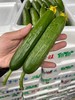 周二取货：【水果黄瓜】一箱毛重2斤左右，清脆爽口，瓜味浓郁，新鲜美味！ 商品缩略图2