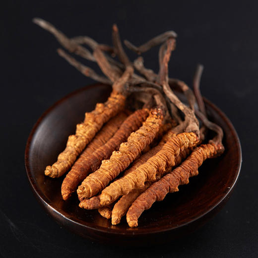 西藏虫草上药神象冬虫夏草虫草5克扎花状小草煲汤小支约30根左右 商品图3