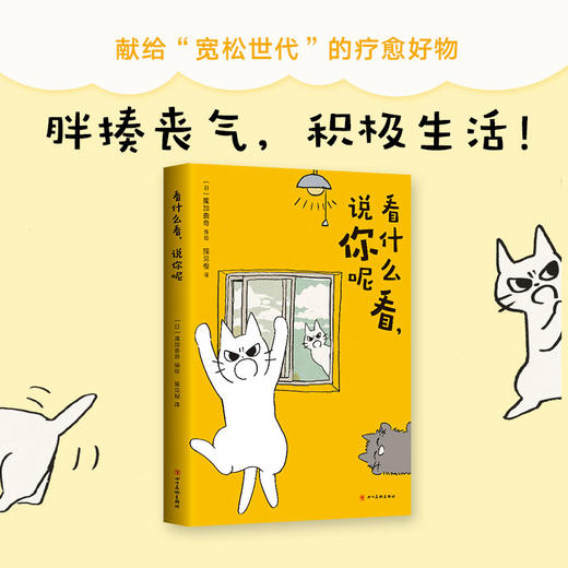 看什么看,说你呢 商品图1