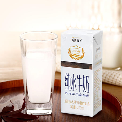 桂牛·纯水牛奶 | 奶界中的“贵族牛奶”，浓郁顺滑、营养价值高 商品图1