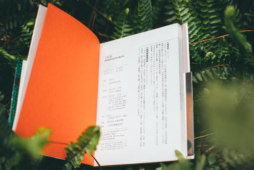 日本原版 | うめ版 新明解国語辞典×梅佳代 写真集 商品图4