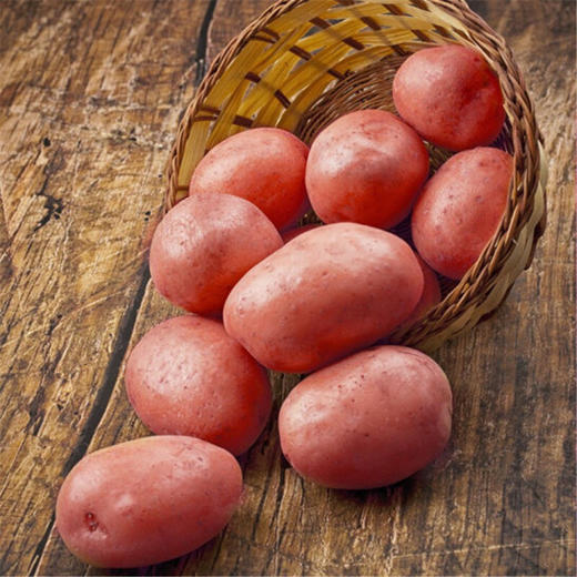 【助农】内蒙古武川红美土豆9.5斤 农家种植 红皮红肉土豆 可生吃