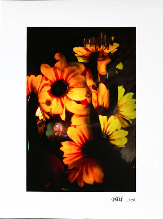 于晓洋丨于晓洋现代艺术摄影No.6 商品图0