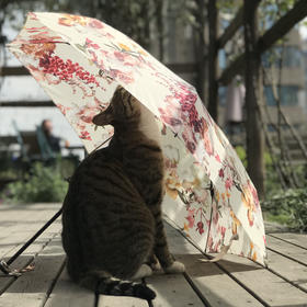 YOPOTA/优品堂“流金岁月”超轻防紫外线遮阳“羽毛”伞