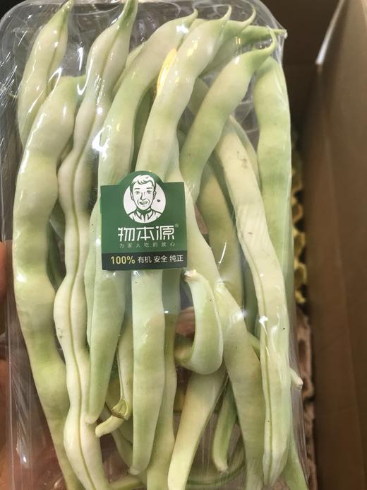 有机芸豆 商品图0