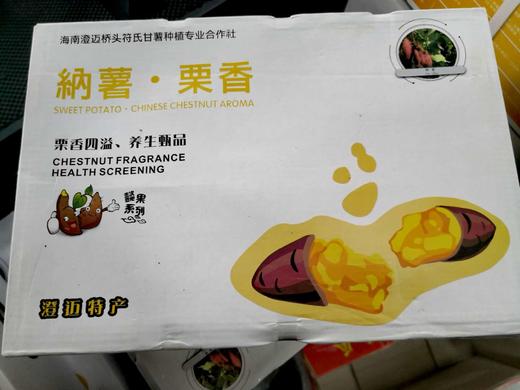 海南桥头板栗地瓜9斤 商品图2