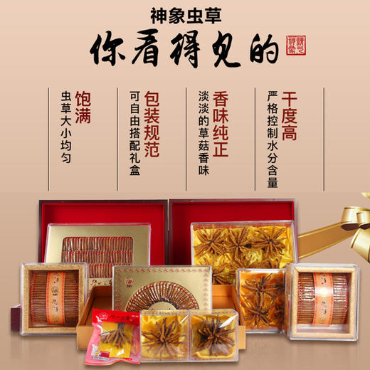 西藏虫草上药神象冬虫夏草虫草5克扎花状小草煲汤小支约30根左右 商品图2