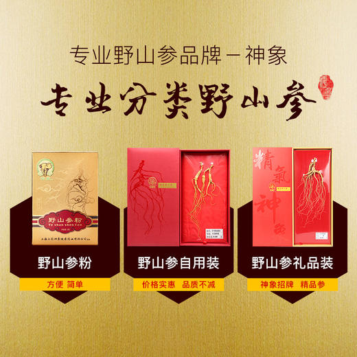 神象野山人参野山参小支礼盒10克富含人参皂甙上药15年以上参品 商品图3