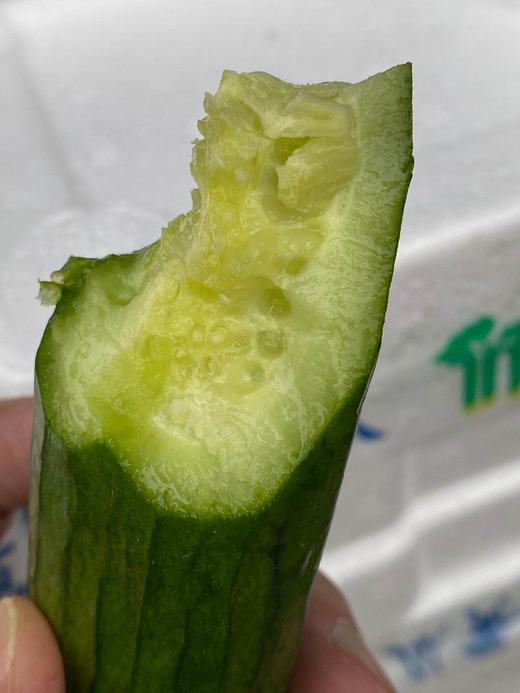 周二取货：【水果黄瓜】一箱毛重2斤左右，清脆爽口，瓜味浓郁，新鲜美味！ 商品图4