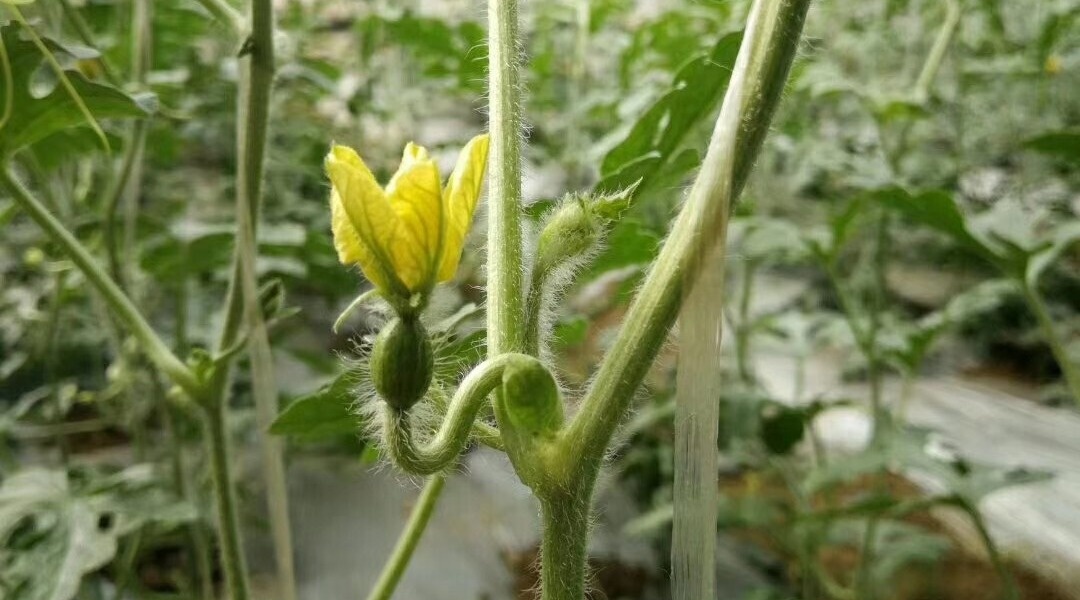 微信图片_20200417001859.jpg 微信图片_20200417001859.jpg