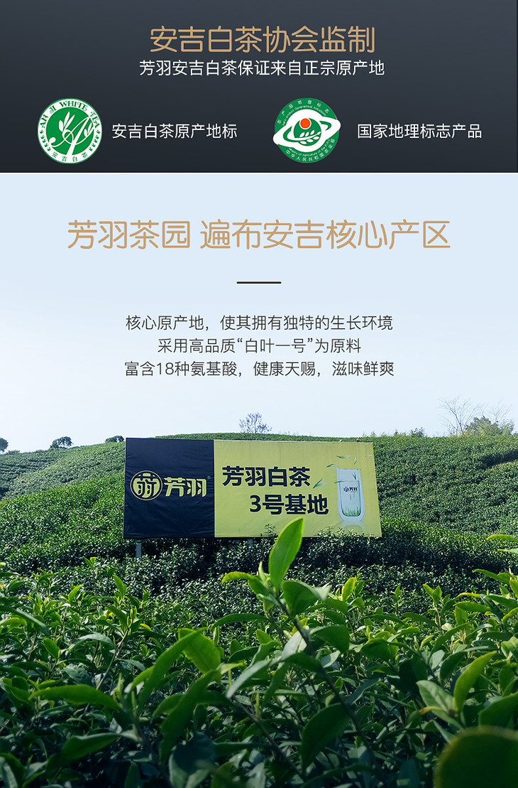 2021新茶芳羽安吉白茶竹盒装150克明前精品珍稀绿茶春茶叶