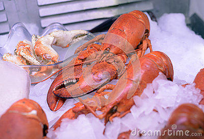 测i是111 商品图0