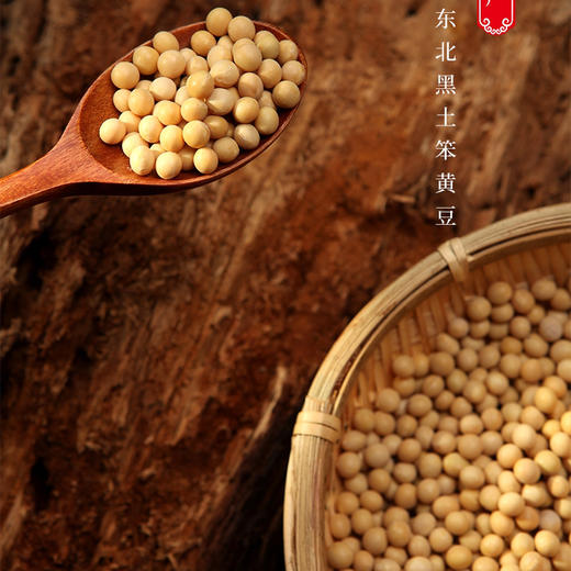东北黑土地黄豆300gX5袋 商品图2