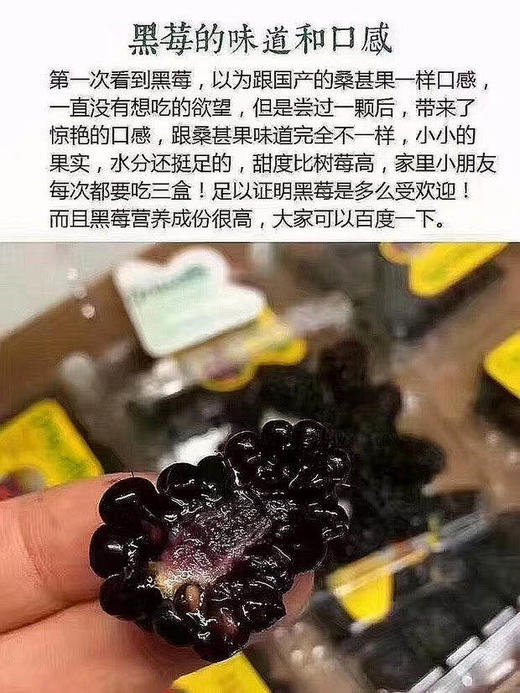 稀有【怡颗莓黑莓】云南种植。 营养价值极高，很多小朋友都非常喜欢吃。 纯甜，无酸。口感非常好。 商品图8
