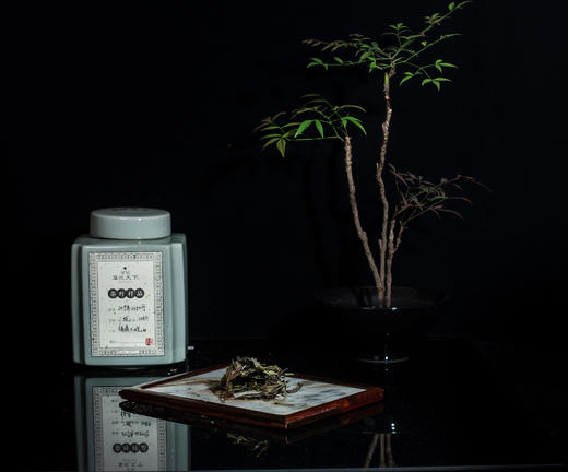 2019年白牡丹【太姥山二级】 商品图2