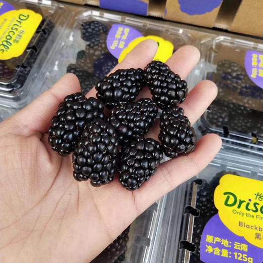 稀有【怡颗莓黑莓】云南种植。 营养价值极高，很多小朋友都非常喜欢吃。 纯甜，无酸。口感非常好。 商品图1