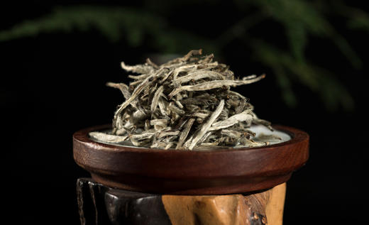 2013年白毫银针【磻溪特级】 商品图3