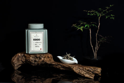 2008年极品白牡丹【管阳特级】 商品图1