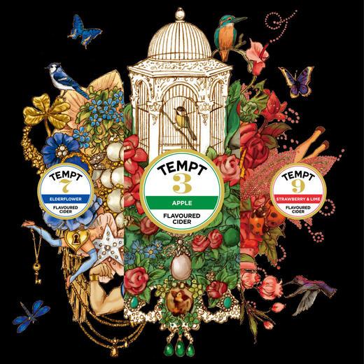 丹麦原装进口啤酒330ml*5瓶 TEMPT诱惑7号  接骨木味 啤酒 有接骨木花味香气 包邮 商品图1