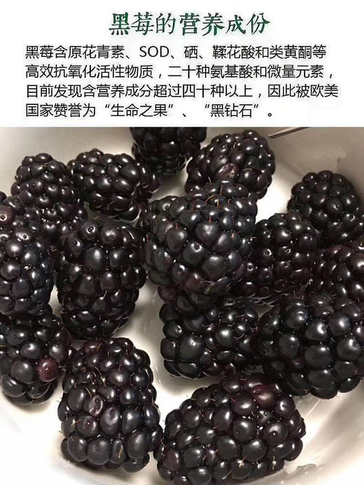 稀有【怡颗莓黑莓】云南种植。 营养价值极高，很多小朋友都非常喜欢吃。 纯甜，无酸。口感非常好。 商品图7