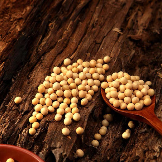 东北黑土地黄豆300gX5袋 商品图3