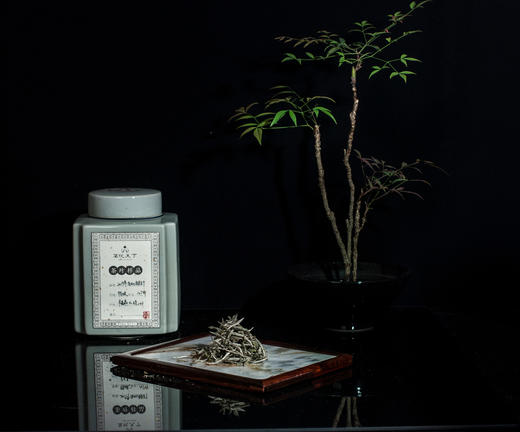 2019年有机银针【太姥山特级】 商品图2