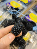 稀有【怡颗莓黑莓】云南种植。 营养价值极高，很多小朋友都非常喜欢吃。 纯甜，无酸。口感非常好。 商品缩略图3