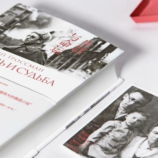 【俄】瓦西里·格罗斯曼《生活与命运》 商品图5