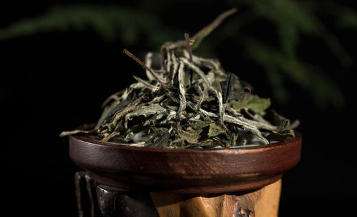 2018年有机白牡丹【太姥山一级】 商品图3