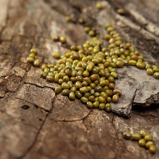 东北黑土地精选绿豆（350g*5袋）精选个个饱满，没有虫豆，坏豆，实豆，好绿豆让您吃的放心～ 商品图1