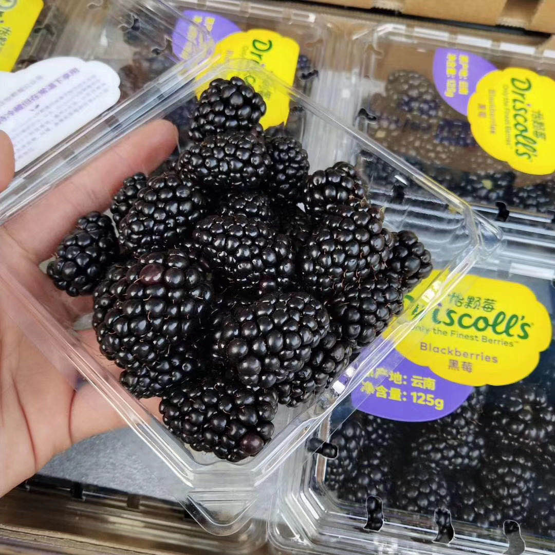 稀有【怡颗莓黑莓】云南种植。 营养价值极高，很多小朋友都非常喜欢吃。 纯甜，无酸。口感非常好。