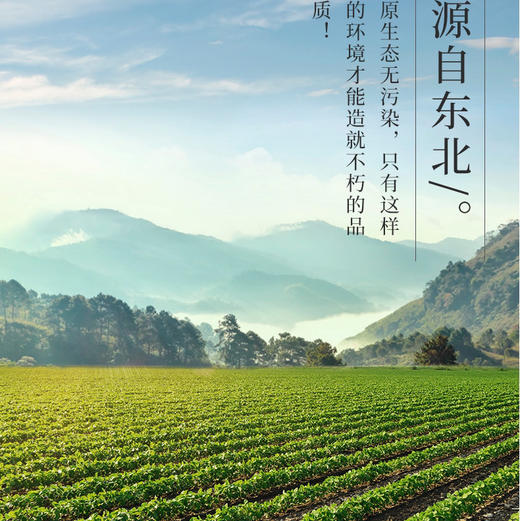 东北黑土地红豆370g*5袋 商品图5