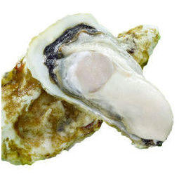 文亮的测试商品3 商品图0