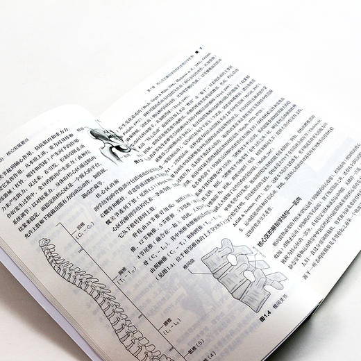 美国国家体能协会核心训练指南(修订版) 商品图3