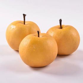 文亮的测试商品5