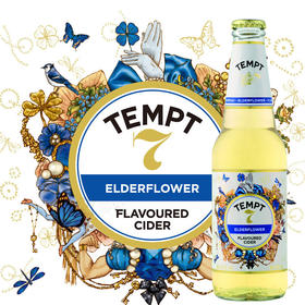 丹麦原装进口啤酒330ml*5瓶 TEMPT诱惑7号  接骨木味 啤酒 有接骨木花味香气 包邮