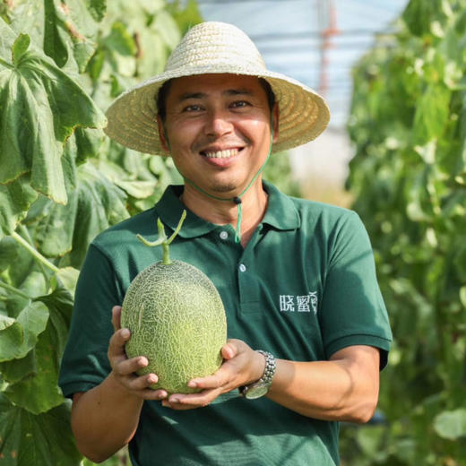 胜杰蜜瓜🍈甜如蜜--甘甜醇厚甜度可达17°+；汁水多--果汁充盈 脆爽可口 ；香味浓--甜香袭人 果香奶香 交融这就是嘎嘎脆甜👑丝路晓蜜®🍈 商品图6