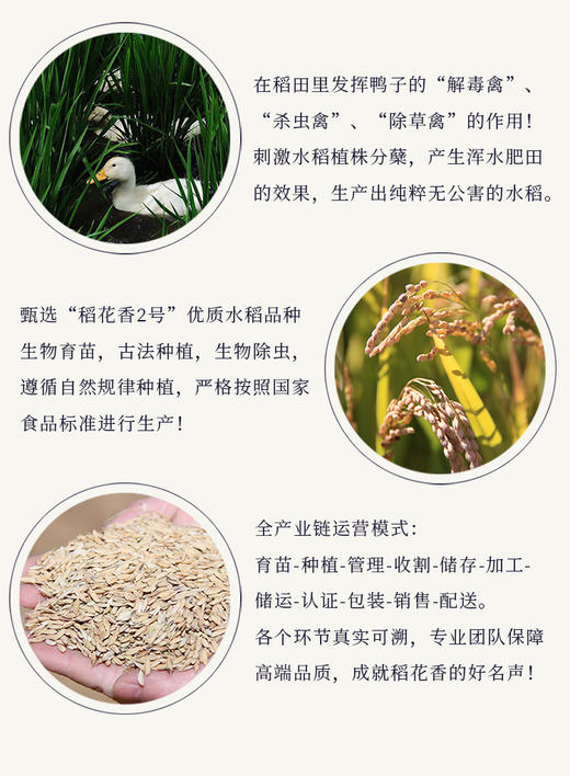 天野园稻花香大米（2袋减8元） 商品图10