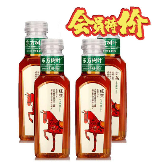 500ml*15瓶东方树叶红茶 商品图0