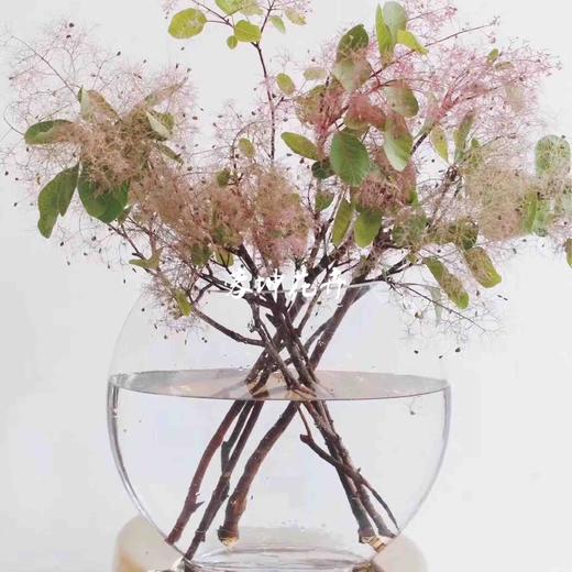 配花-雾中情人 商品图6