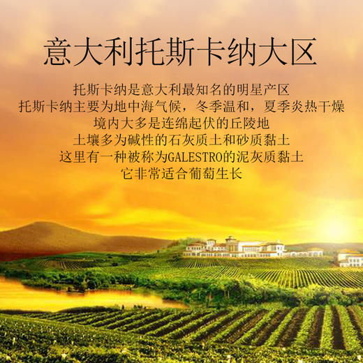 顶级酿酒师佳作意大利托斯卡纳igt干红葡萄酒135度