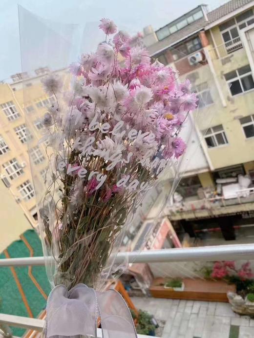 透明花束袋（50个）--省内满299元包邮，省外运费自理 商品图3