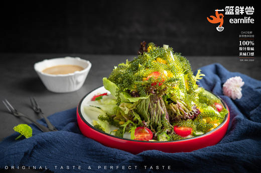 海葡萄斑斓沙拉